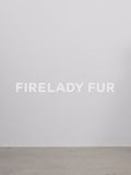 Cutting-Edge Style, Warm and Detachable Raccoon Fur Collar Short Silhouette Down Jacket
