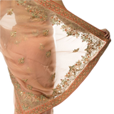 Organza Sari With Hand Embroidery - Biege
