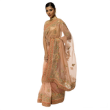 Organza Sari With Hand Embroidery - Biege