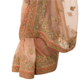 Organza Sari With Hand Embroidery - Biege