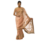 Organza Sari With Hand Embroidery - Biege