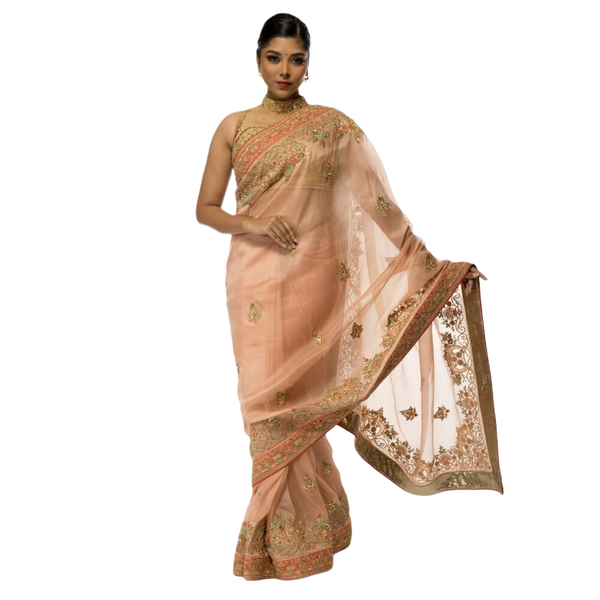Organza Sari With Hand Embroidery - Biege