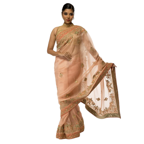 Organza Sari With Hand Embroidery - Biege