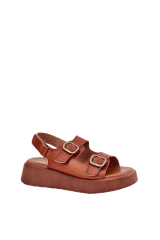 Step in Style Shoe