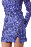 Embellished Sequin Mini Dress