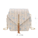 Hexagon Style Straw Lace Embroidery Bag