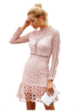 Elegant Sweet Ruffle Hollow Out Lace Dress