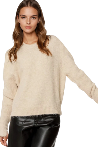 Standard Fit Soft Knit Sweater in Beige